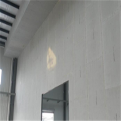 金沙宁波ALC板|EPS加气板隔墙与混凝土整浇联接的实验研讨